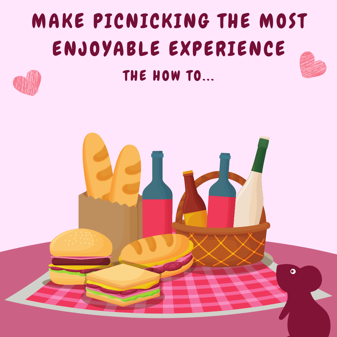 making-picnicking-the-most-enjoyable-experience